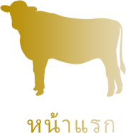 หน้าแรก